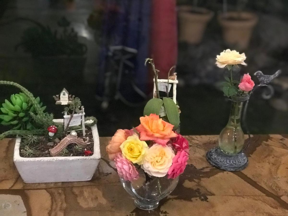 花蓮 達芙妮花園民宿 지안 외부 사진